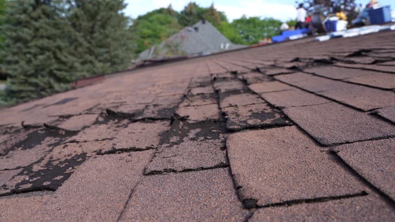Best Storm Damage Roof Repair  in Skyline Acres, OH