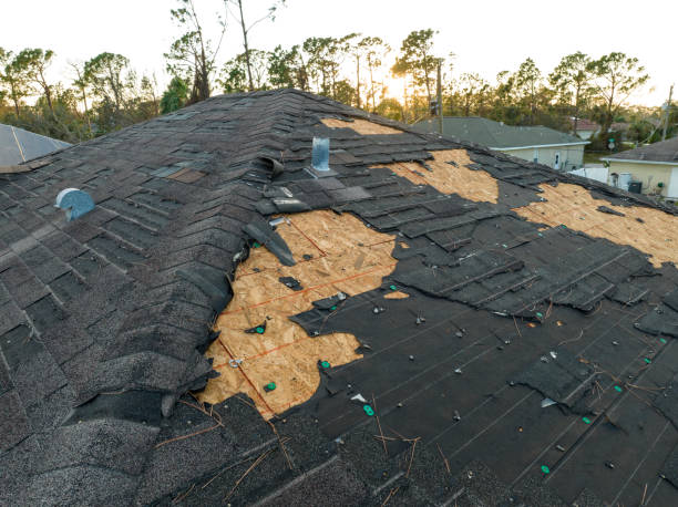 Best Cold Roofs  in Skyline Acres, OH